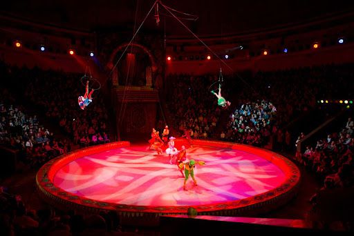 В Запорожском цирке дети-гимнасты сорвались с высоты во время представления
